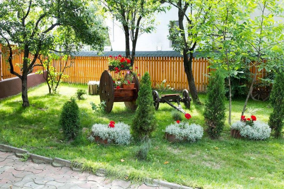 Pensiunea Aurica Tîrgu Lăpuş Exterior foto
