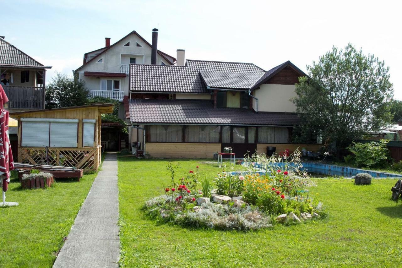 Pensiunea Aurica Tîrgu Lăpuş Exterior foto