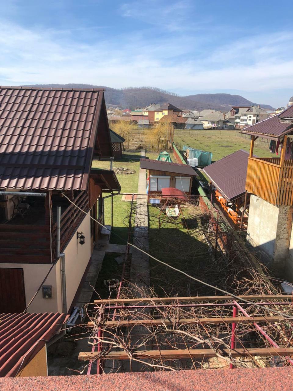 Pensiunea Aurica Tîrgu Lăpuş Exterior foto